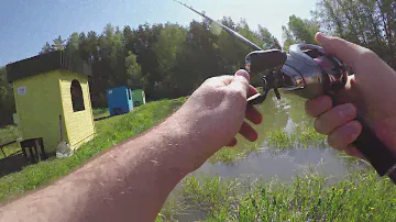 Половили Bass`a. Shimano Zodias 1610mh 2 2020 + Shimano Antares DC 16