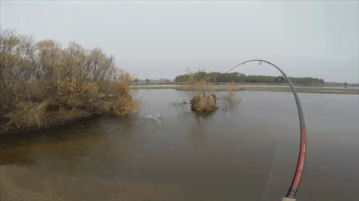 Ходовая рыбалка. Ловля щуки осенью. Октябрь 2015