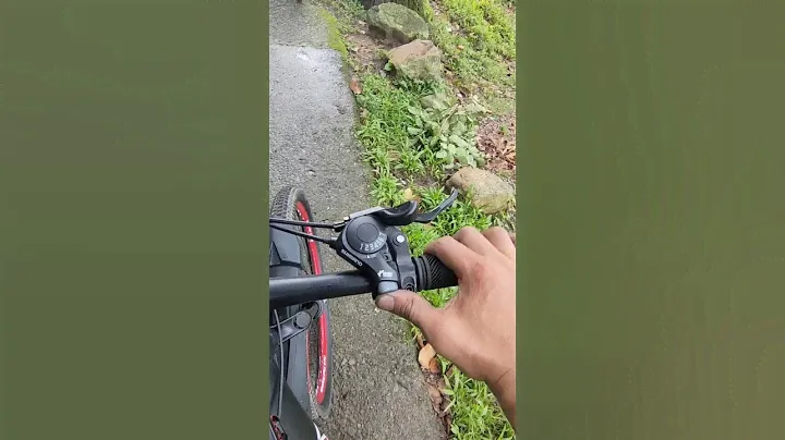 Shimano Gear Shifter        E-  MTB