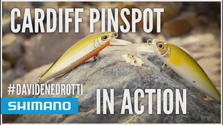 🎯 SHIMANO CARDIFF PINSPOT - TROTE A RIPETIZIONE!
