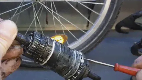 Ресурс планетарной втулки С ножным тормозом и БЕЗ, на примере shimano nexus 3 и детского велосипеда